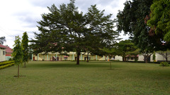 Sports Facilities